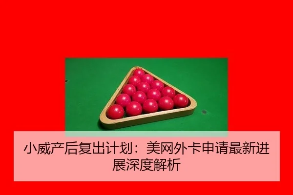 小威产后复出计划：美网外卡申请最新进展深度解析